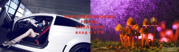 МДМА Новодвинск