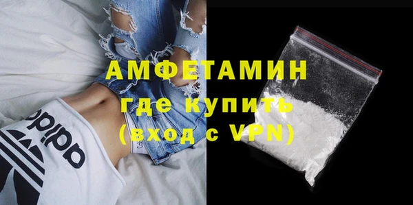 сатива Болохово