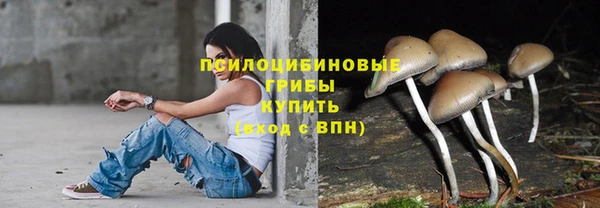гидра Новокубанск