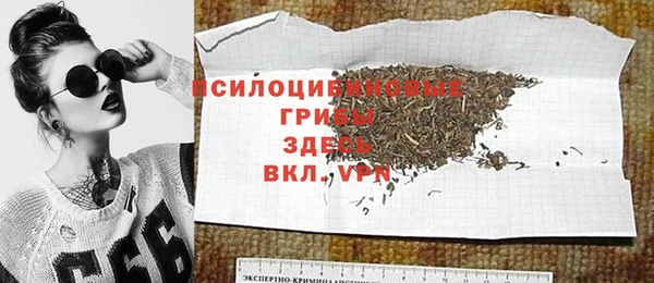 гидра Новокубанск