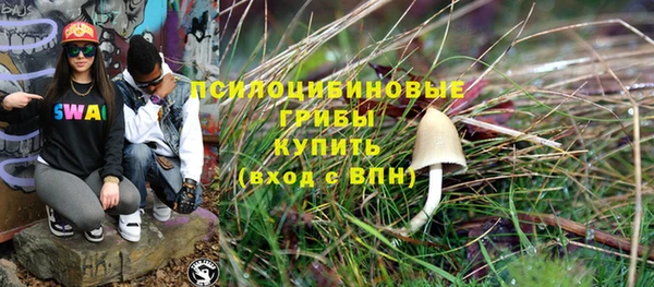 гидра Новокубанск